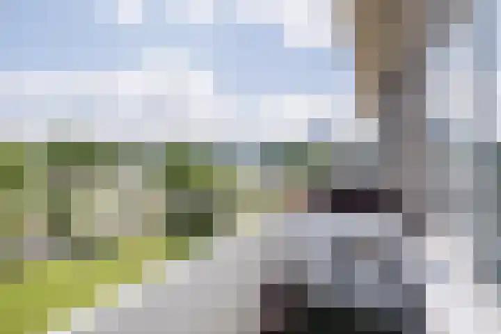 Veldmaarschalk Montgomerylaan 685 Eindhoven thumbnail 36