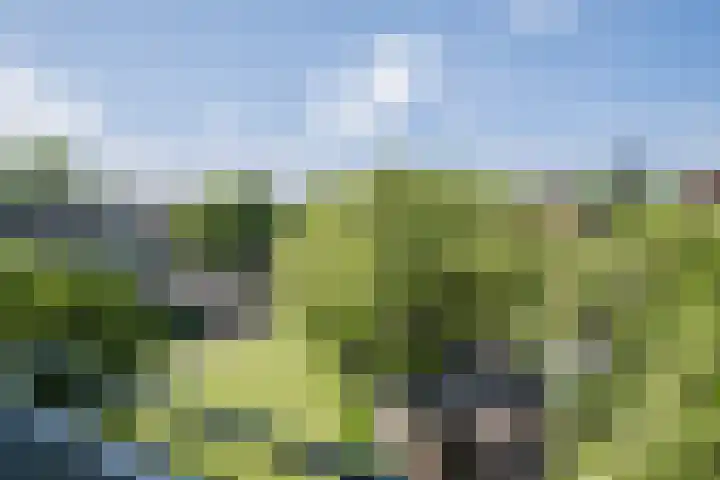 Veldmaarschalk Montgomerylaan 685 Eindhoven thumbnail 37