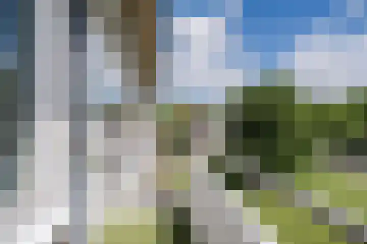 Veldmaarschalk Montgomerylaan 685 Eindhoven thumbnail 38
