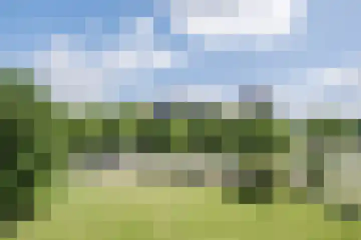 Veldmaarschalk Montgomerylaan 685 Eindhoven thumbnail 39