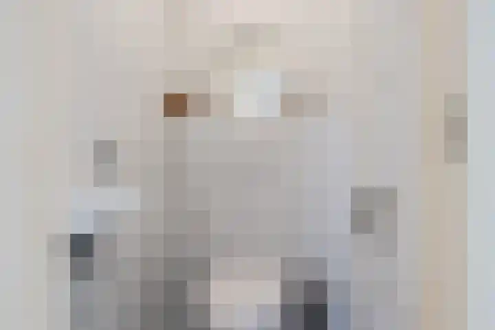 Veldmaarschalk Montgomerylaan 685 Eindhoven thumbnail 6
