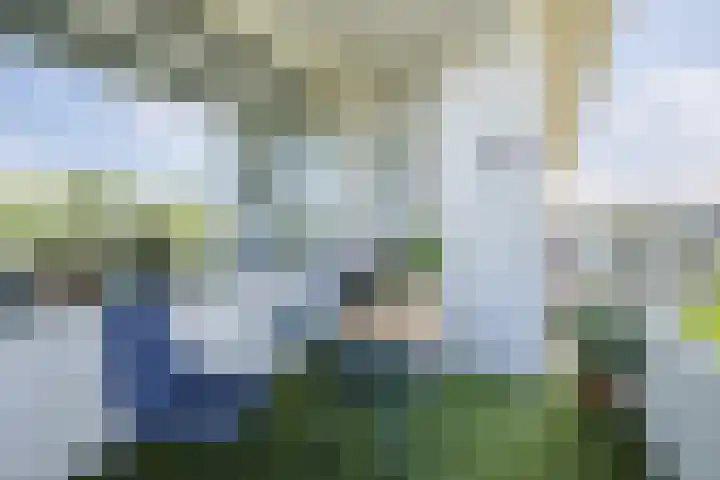 Veldmaarschalk Montgomerylaan 685 Eindhoven thumbnail 8