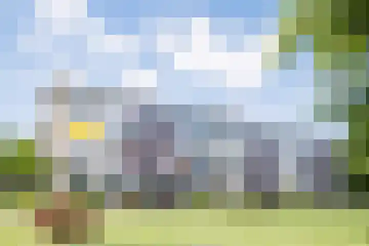 Veldmaarschalk Montgomerylaan 685 Eindhoven thumbnail 9