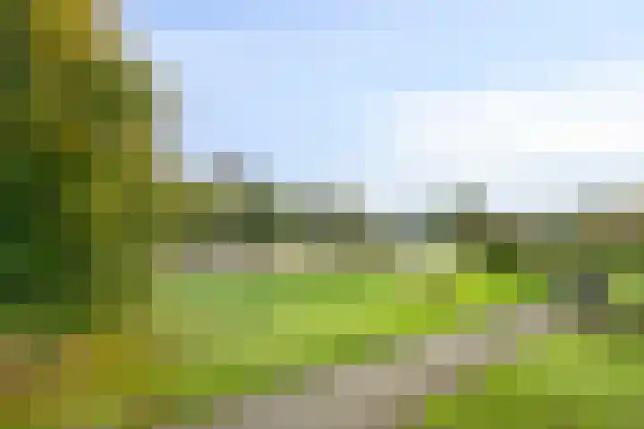 Veldmaarschalk Montgomerylaan 693 Eindhoven thumbnail 11
