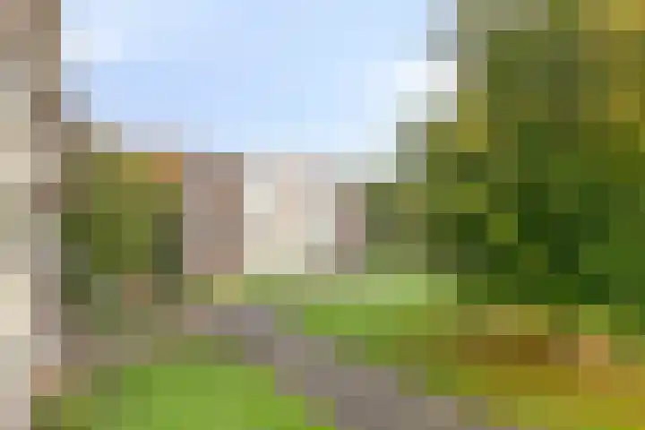 Veldmaarschalk Montgomerylaan 693 Eindhoven thumbnail 12