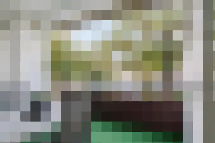 Veldmaarschalk Montgomerylaan 693 Eindhoven thumbnail 15