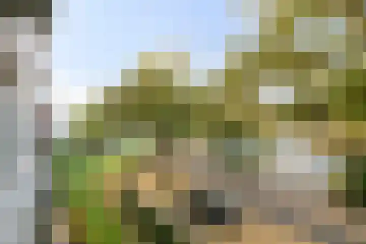Veldmaarschalk Montgomerylaan 693 Eindhoven thumbnail 17