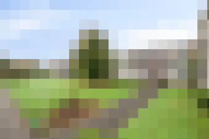 Veldmaarschalk Montgomerylaan 693 Eindhoven thumbnail 26