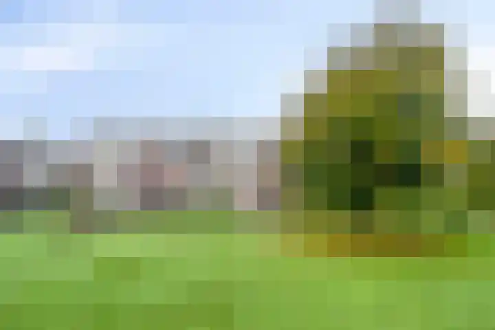 Veldmaarschalk Montgomerylaan 693 Eindhoven thumbnail 27