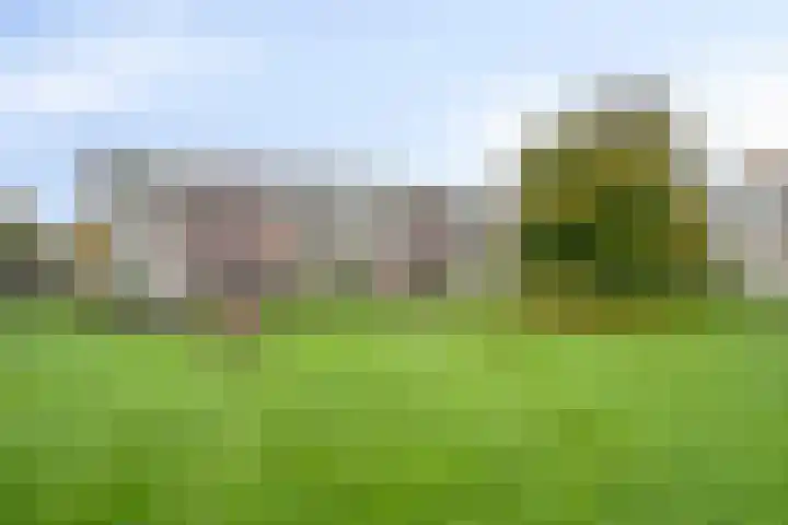 Veldmaarschalk Montgomerylaan 693 Eindhoven thumbnail 28