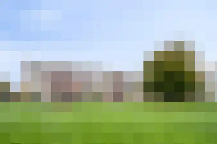 Veldmaarschalk Montgomerylaan 693 Eindhoven thumbnail 29