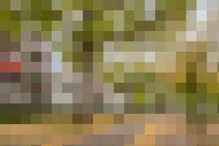 Veldmaarschalk Montgomerylaan 693 Eindhoven thumbnail 32