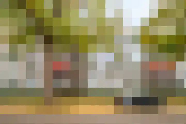 Veldmaarschalk Montgomerylaan 693 Eindhoven thumbnail 33