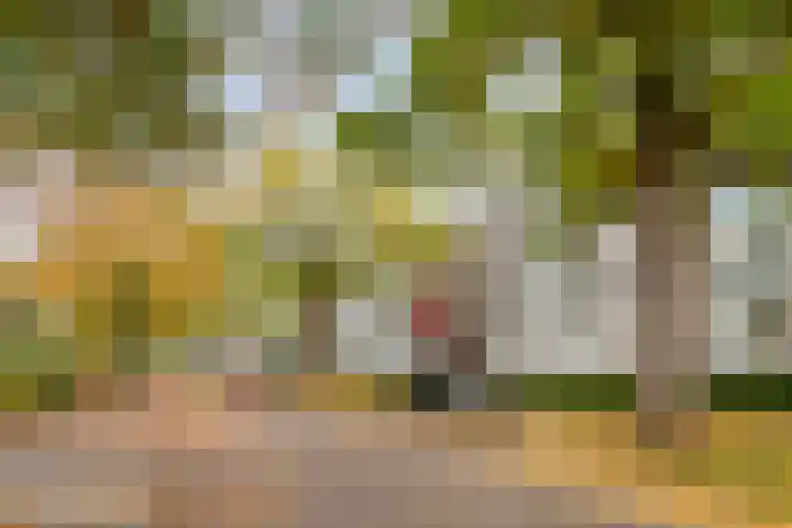 Veldmaarschalk Montgomerylaan 693 Eindhoven thumbnail 34
