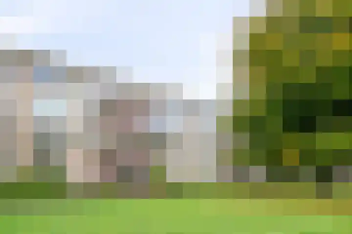 Veldmaarschalk Montgomerylaan 693 Eindhoven thumbnail 6