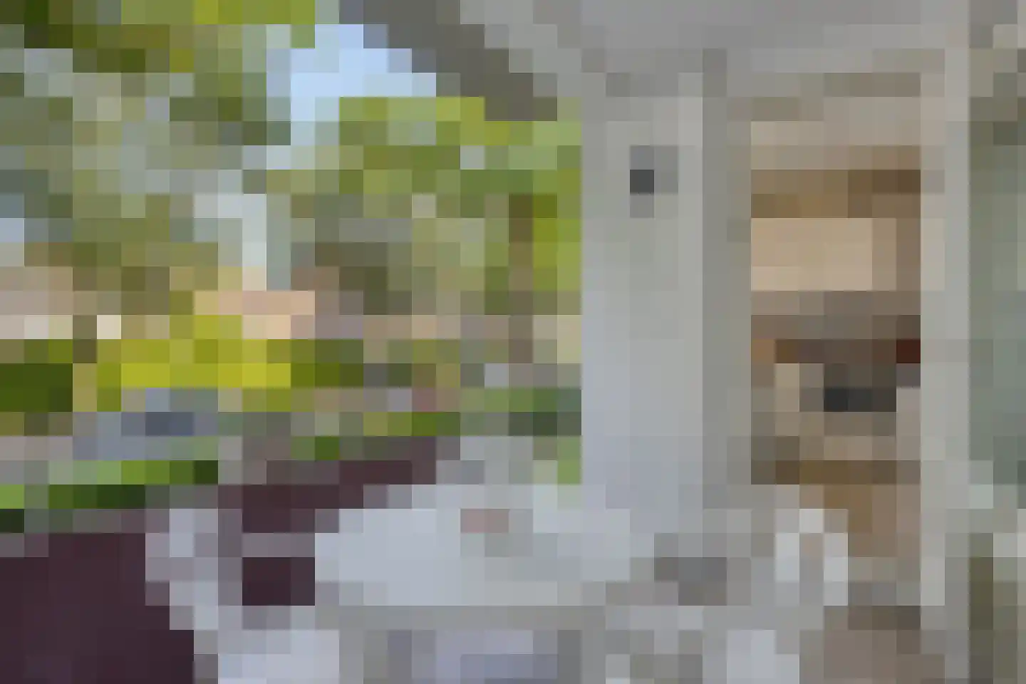 Veldmaarschalk Montgomerylaan 703 Eindhoven thumbnail 19