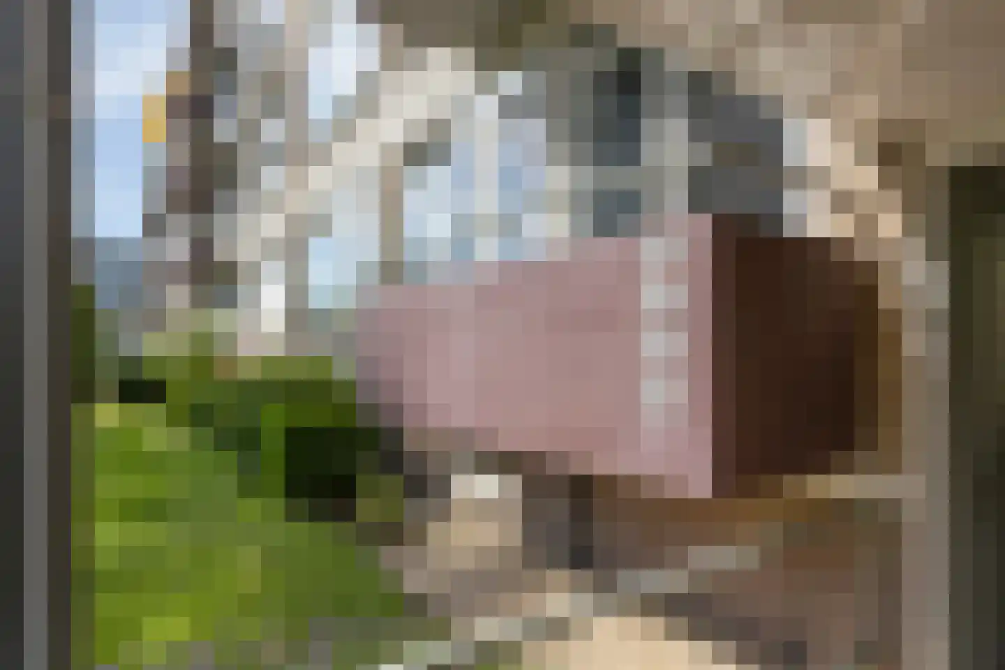 Veldmaarschalk Montgomerylaan 703 Eindhoven thumbnail 6