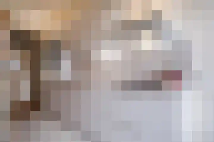 Veldmaarschalk Montgomerylaan 721 Eindhoven thumbnail 19