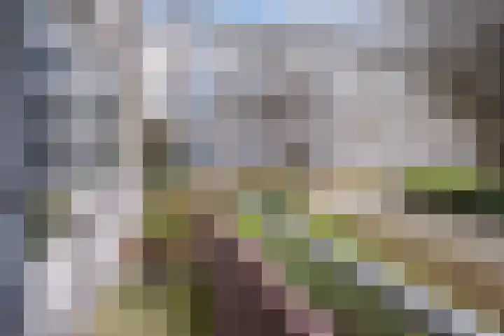 Veldmaarschalk Montgomerylaan 721 Eindhoven thumbnail 27