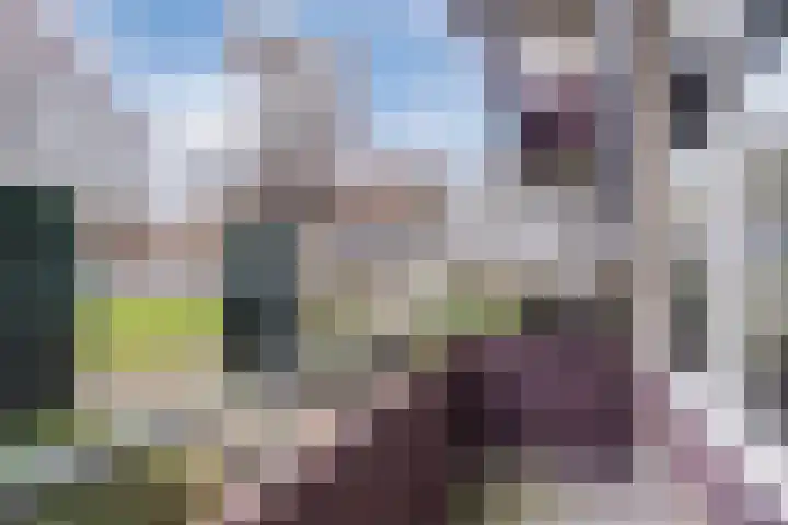 Veldmaarschalk Montgomerylaan 721 Eindhoven thumbnail 28