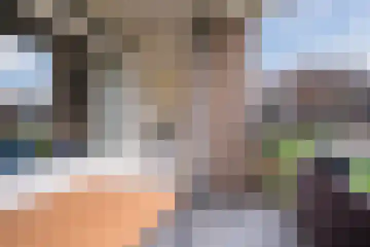 Veldmaarschalk Montgomerylaan 721 Eindhoven thumbnail 31
