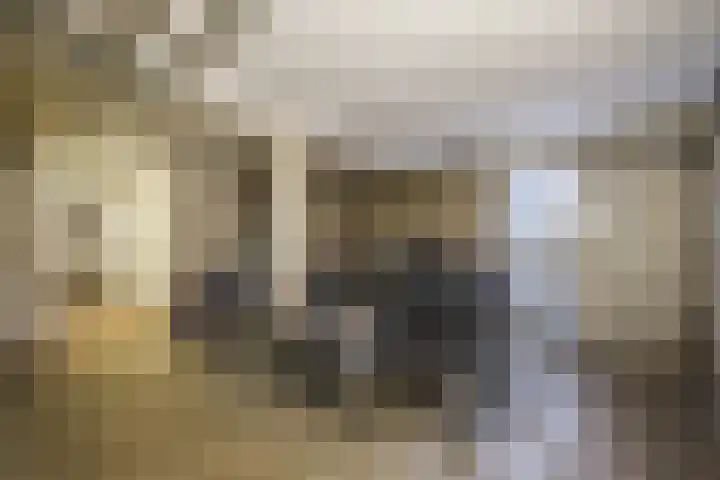 Veldmaarschalk Montgomerylaan 721 Eindhoven thumbnail 32