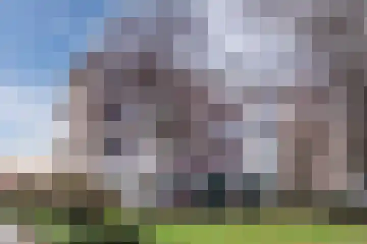 Veldmaarschalk Montgomerylaan 721 Eindhoven thumbnail 37