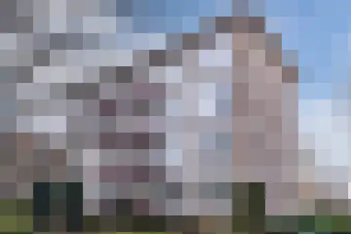 Veldmaarschalk Montgomerylaan 721 Eindhoven thumbnail 6