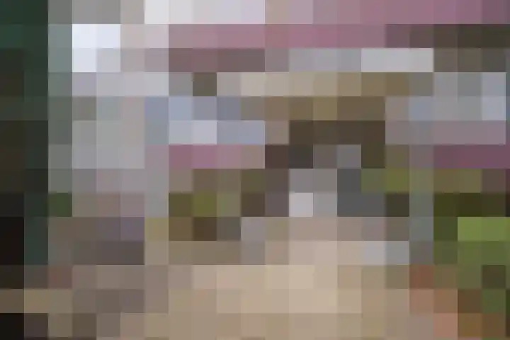 Veldmaarschalk Montgomerylaan 721 Eindhoven thumbnail 7