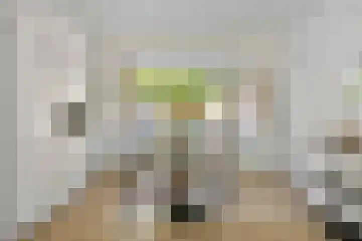 Veldmaarschalk Montgomerylaan 737 Eindhoven thumbnail 14