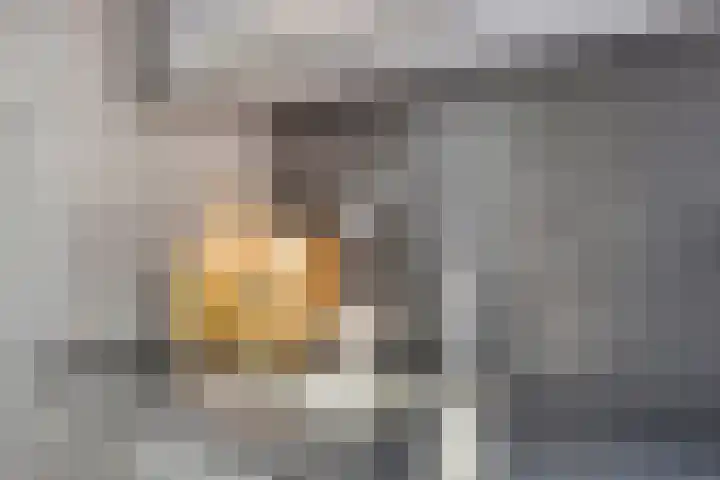 Veldmaarschalk Montgomerylaan 737 Eindhoven thumbnail 19