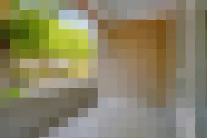 Veldmaarschalk Montgomerylaan 737 Eindhoven thumbnail 20