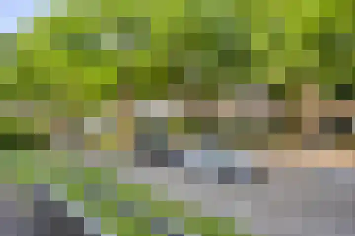Veldmaarschalk Montgomerylaan 737 Eindhoven thumbnail 22