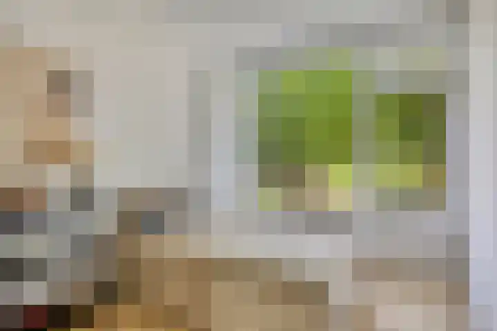 Veldmaarschalk Montgomerylaan 737 Eindhoven thumbnail 25