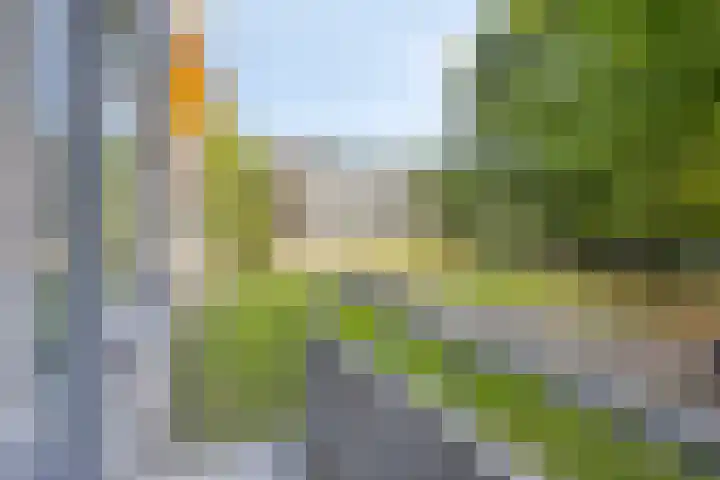 Veldmaarschalk Montgomerylaan 737 Eindhoven thumbnail 30