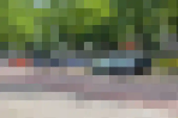 Veldmaarschalk Montgomerylaan 737 Eindhoven thumbnail 32
