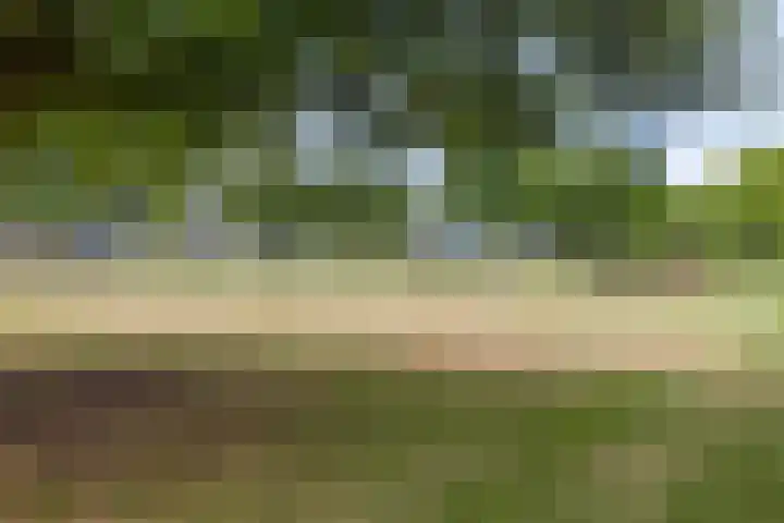Veldmaarschalk Montgomerylaan 737 Eindhoven thumbnail 33