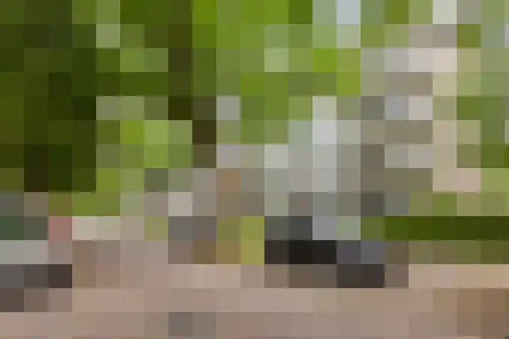 Veldmaarschalk Montgomerylaan 737 Eindhoven thumbnail 34