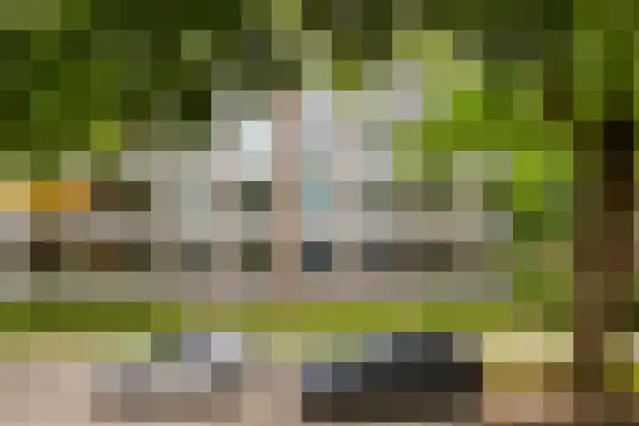 Veldmaarschalk Montgomerylaan 737 Eindhoven thumbnail 35