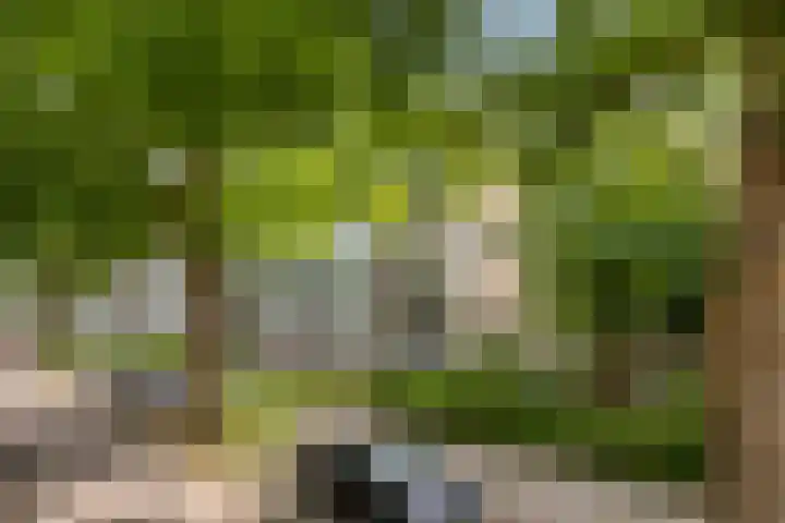 Veldmaarschalk Montgomerylaan 737 Eindhoven thumbnail 36