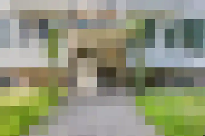 Veldmaarschalk Montgomerylaan 737 Eindhoven thumbnail 6