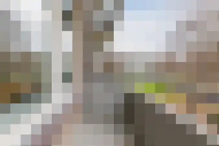 Veldmaarschalk Montgomerylaan 739 Eindhoven thumbnail 13