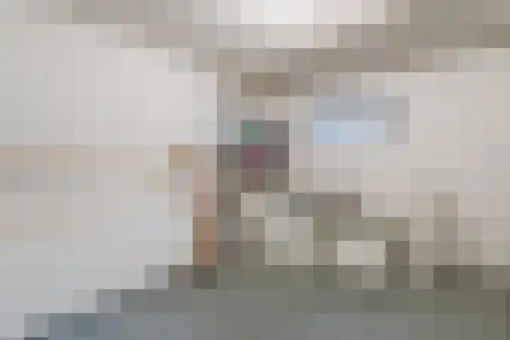 Veldmaarschalk Montgomerylaan 739 Eindhoven thumbnail 29