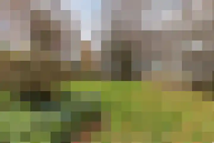 Veldmaarschalk Montgomerylaan 739 Eindhoven thumbnail 31