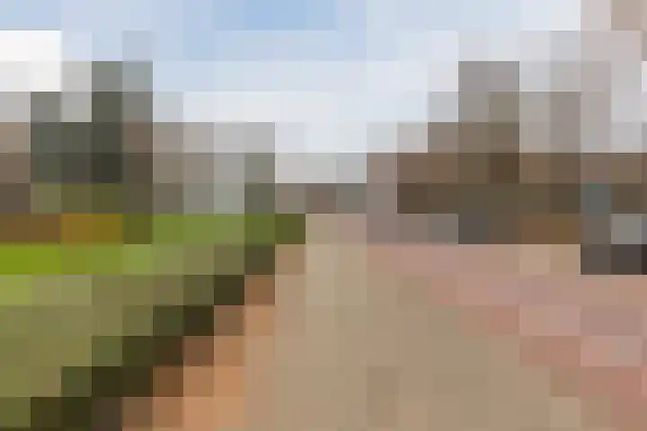 Veldmaarschalk Montgomerylaan 739 Eindhoven thumbnail 33