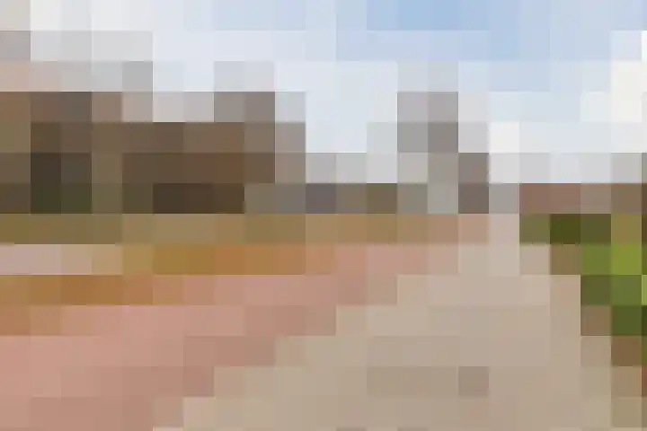 Veldmaarschalk Montgomerylaan 739 Eindhoven thumbnail 36