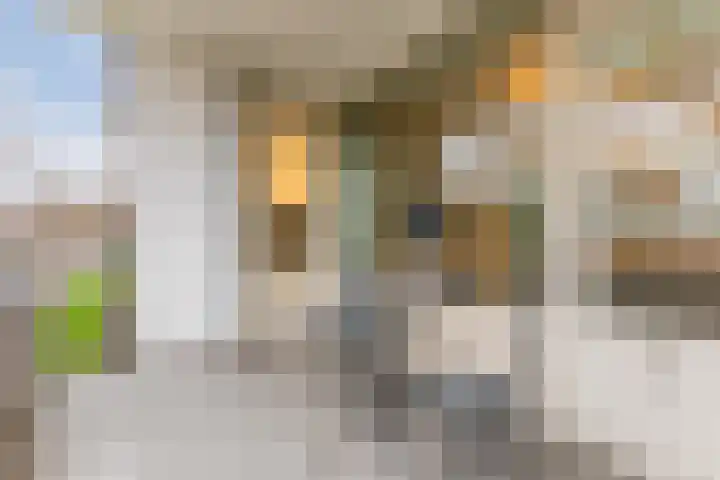 Veldmaarschalk Montgomerylaan 739 Eindhoven thumbnail 9