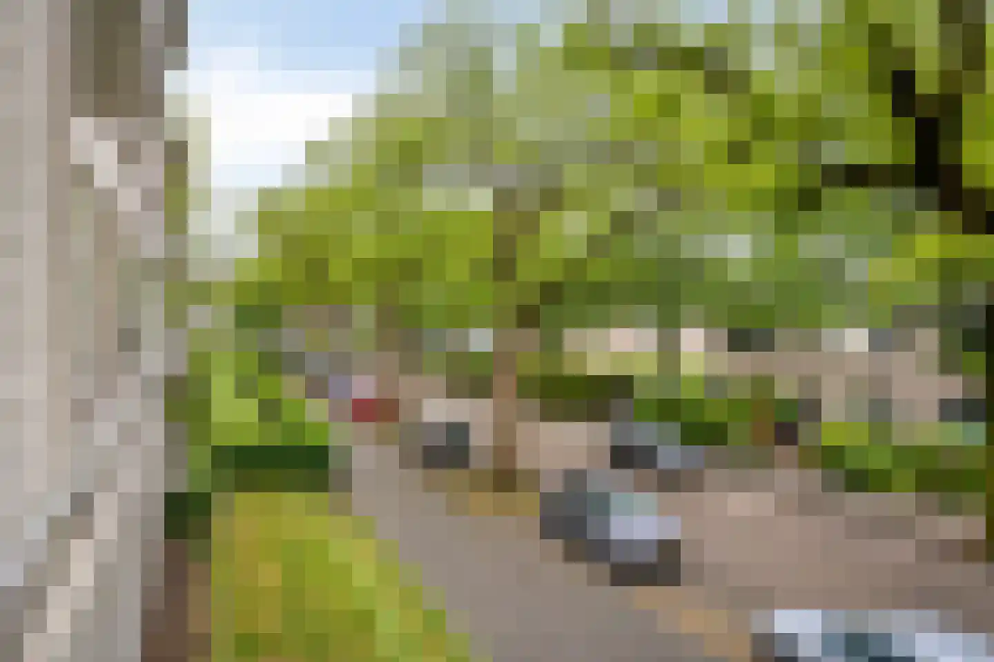 Veldmaarschalk Montgomerylaan 755 Eindhoven thumbnail 19