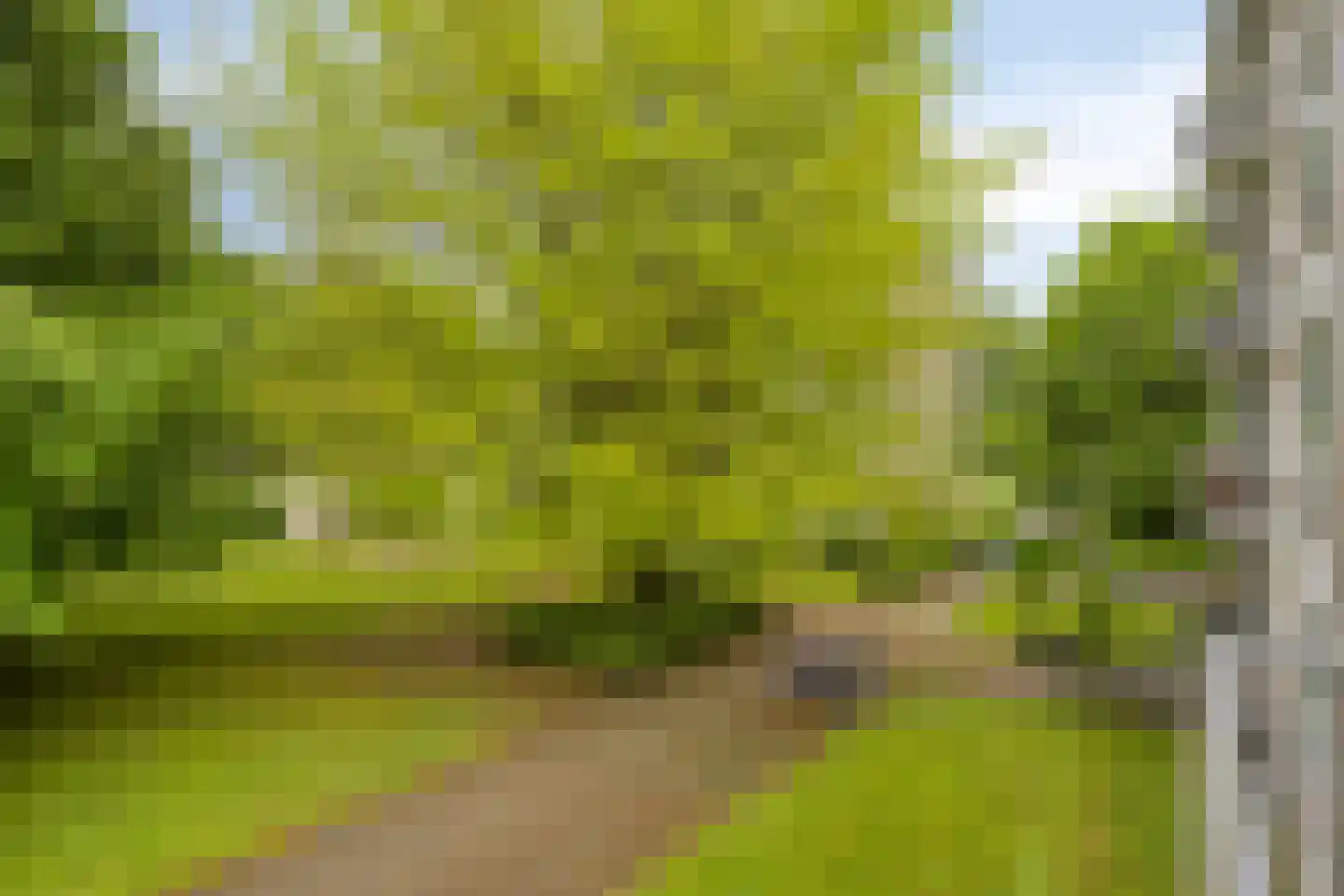 Veldmaarschalk Montgomerylaan 755 Eindhoven thumbnail 25