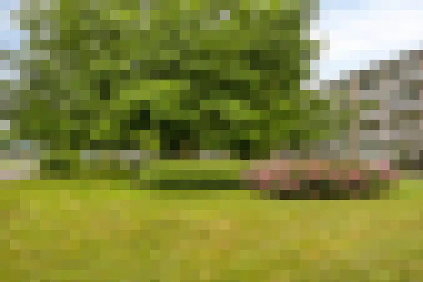 Veldmaarschalk Montgomerylaan 755 Eindhoven thumbnail 34